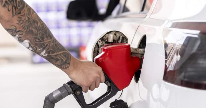 Energy prices expected to push inflation higher - National