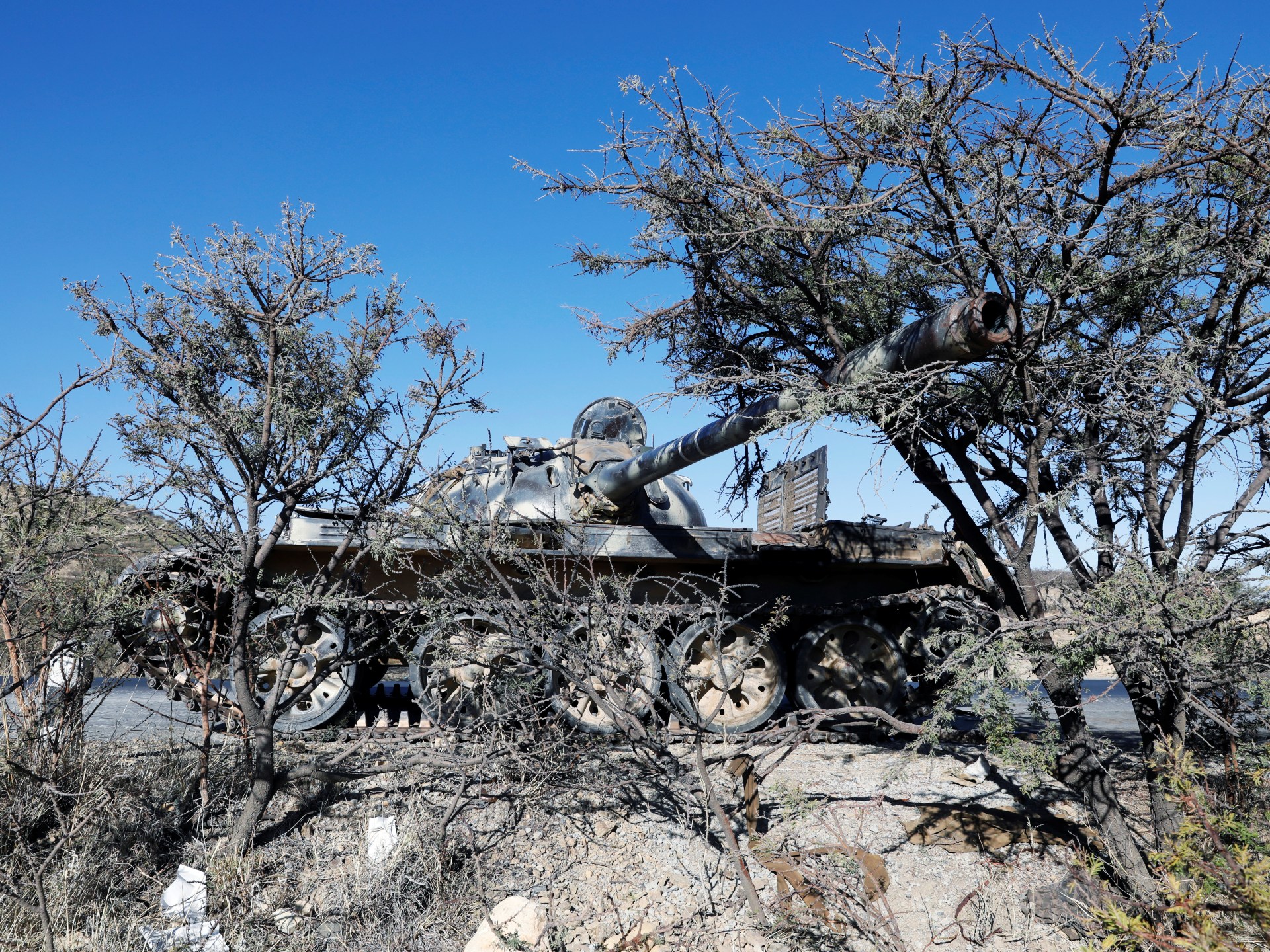 Ethiopia is not being ‘dragged into war’ | Opinions