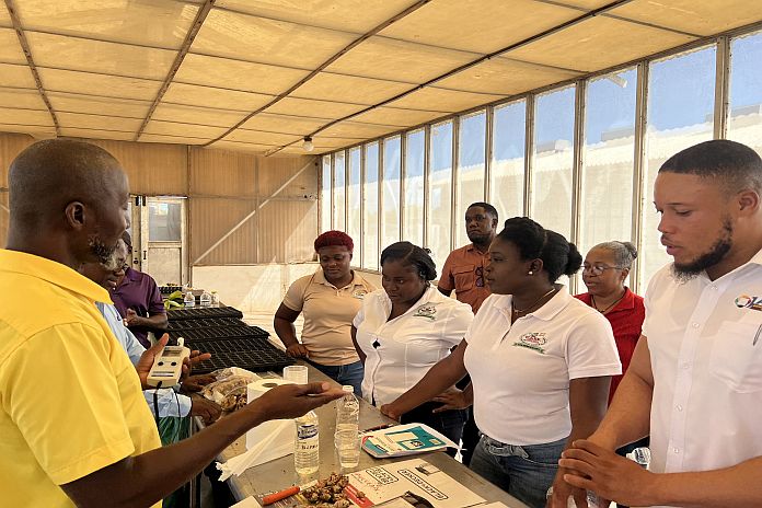 FAO - JACRA trains over 170 farmers in sustainable ginger production
