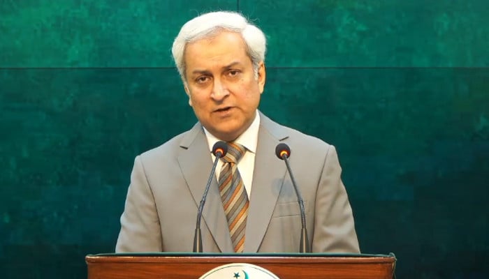 FO says release of Pakistanis from Somali pirates 'top priority'