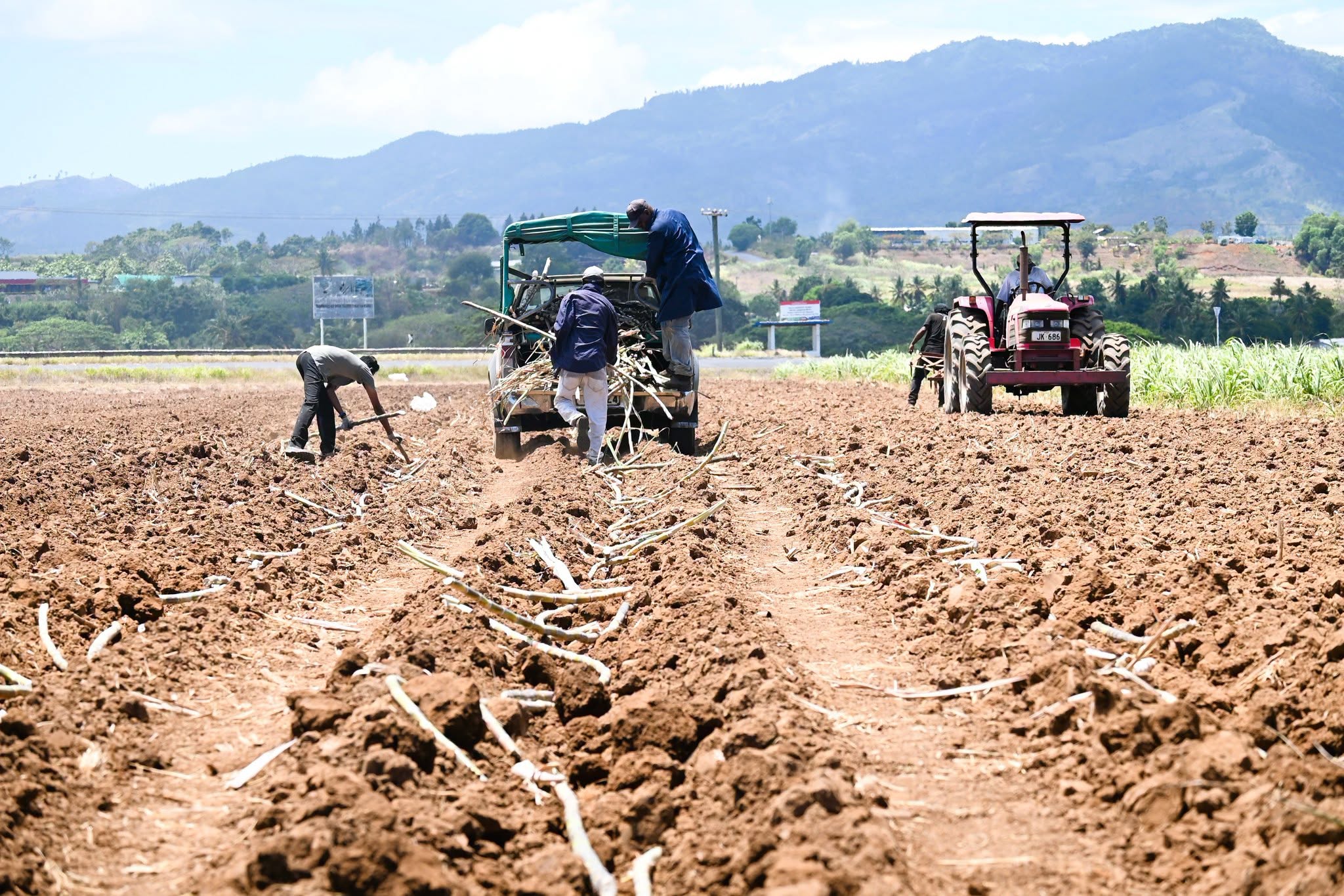 Farmers Assured $85 Per Tonne Cane Price