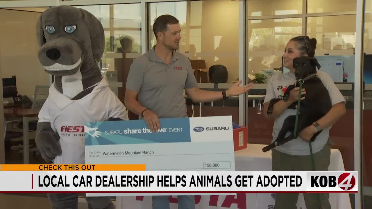 Fiesta Subaru helps hundreds of New Mexico dogs find homes with big donation
