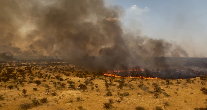 Fires ravage1.2m hectares - New Era
