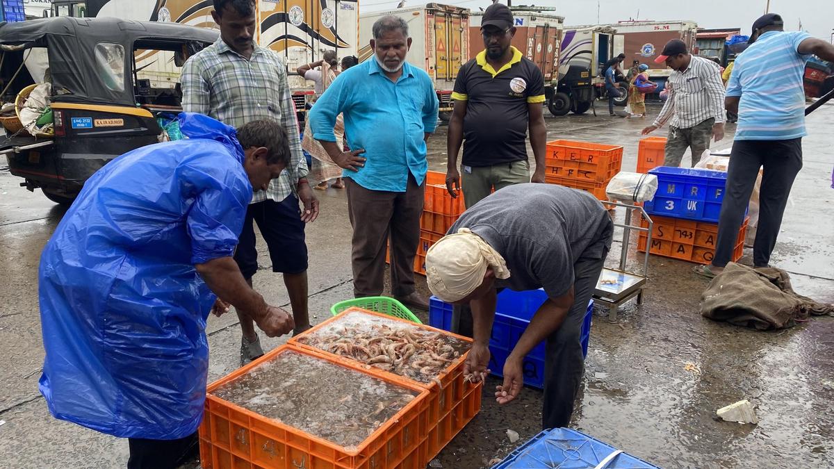 Fisheries Development Corporation set for commercial launch of ‘Seafood at Doorsteps’