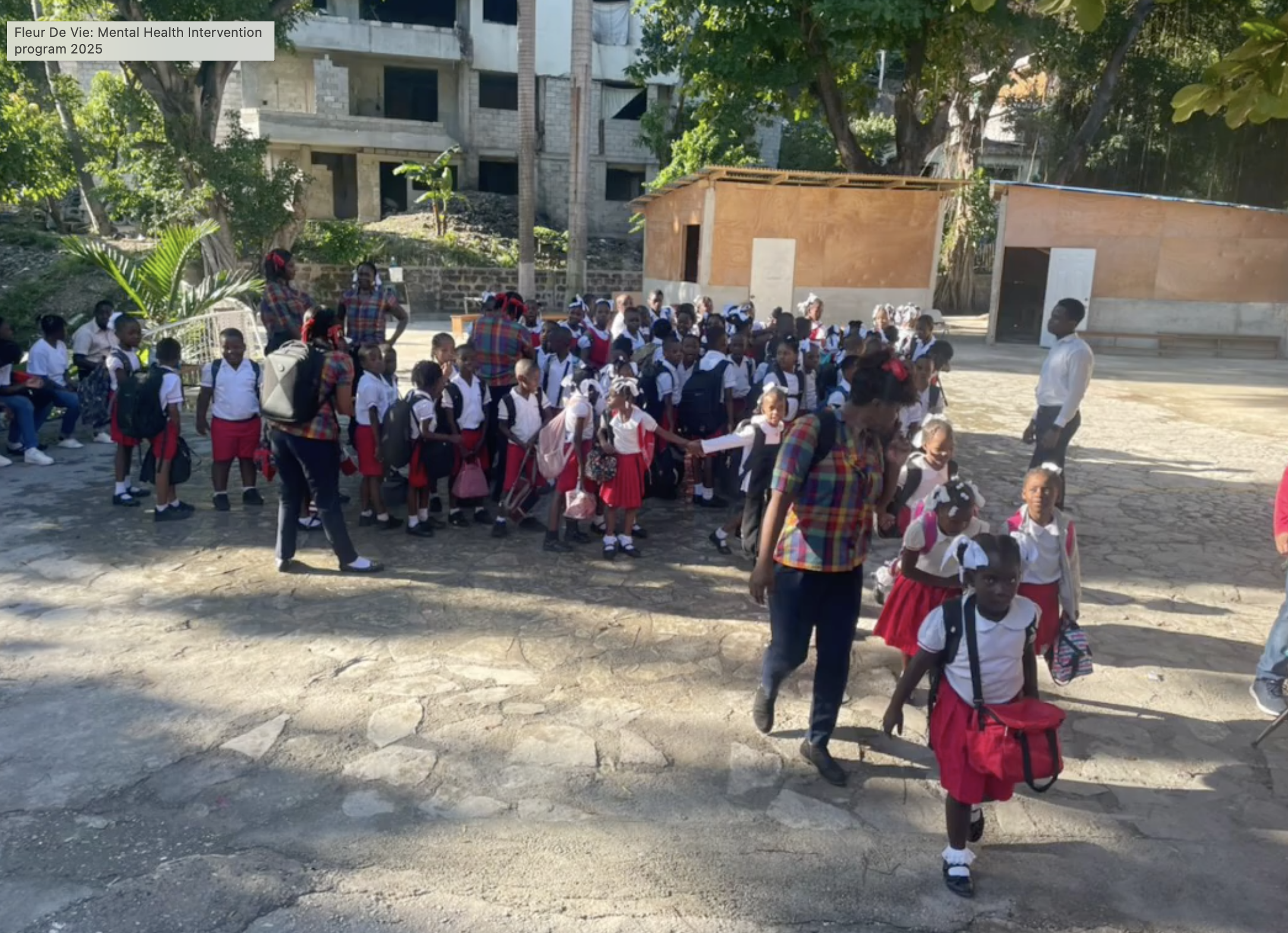 Fleur De Vie is bringing mental health care to Port-au-Prince schools