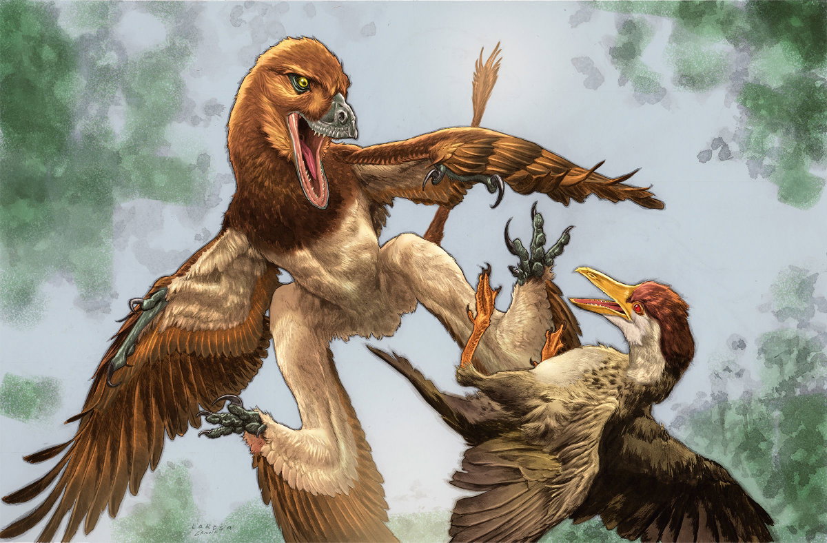 Lewis LaRosa/Jão Canola via CNN NewsourceMicroraptor Jian changmaensis (left) attacks an ancient bird called Gansus yumenensis.