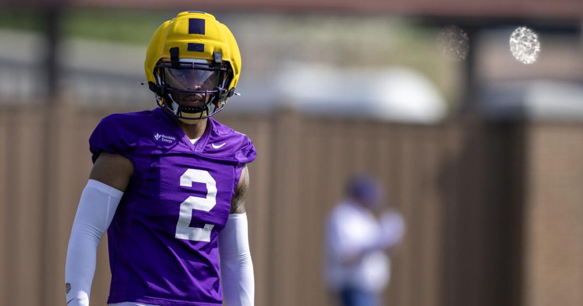 Four transfers who can help LSU’s defense take step forward | LSU