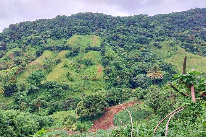 GEF approves new USD 6.1 million UNEP project in St Vincent