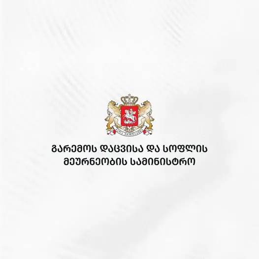 Georgia launches National Agency of Gastronomy
