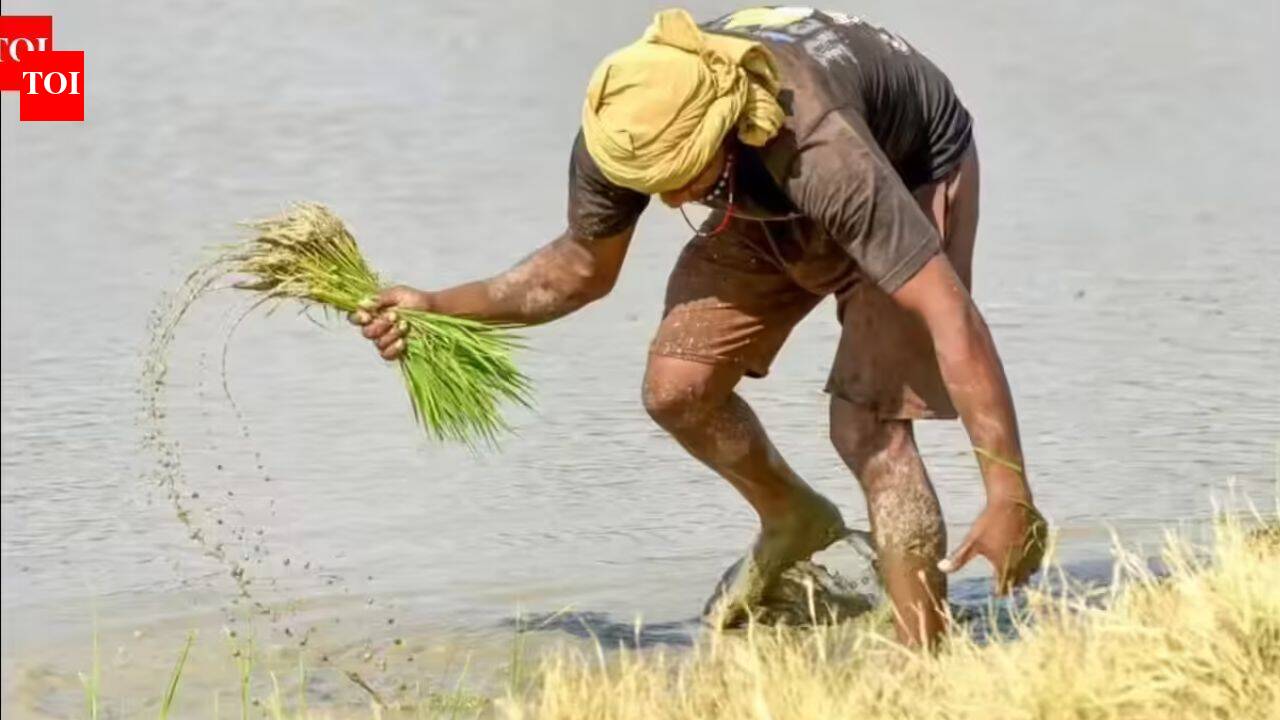 Govt notifies interim list of 318 permissible development works under new rural employment framework | India News
