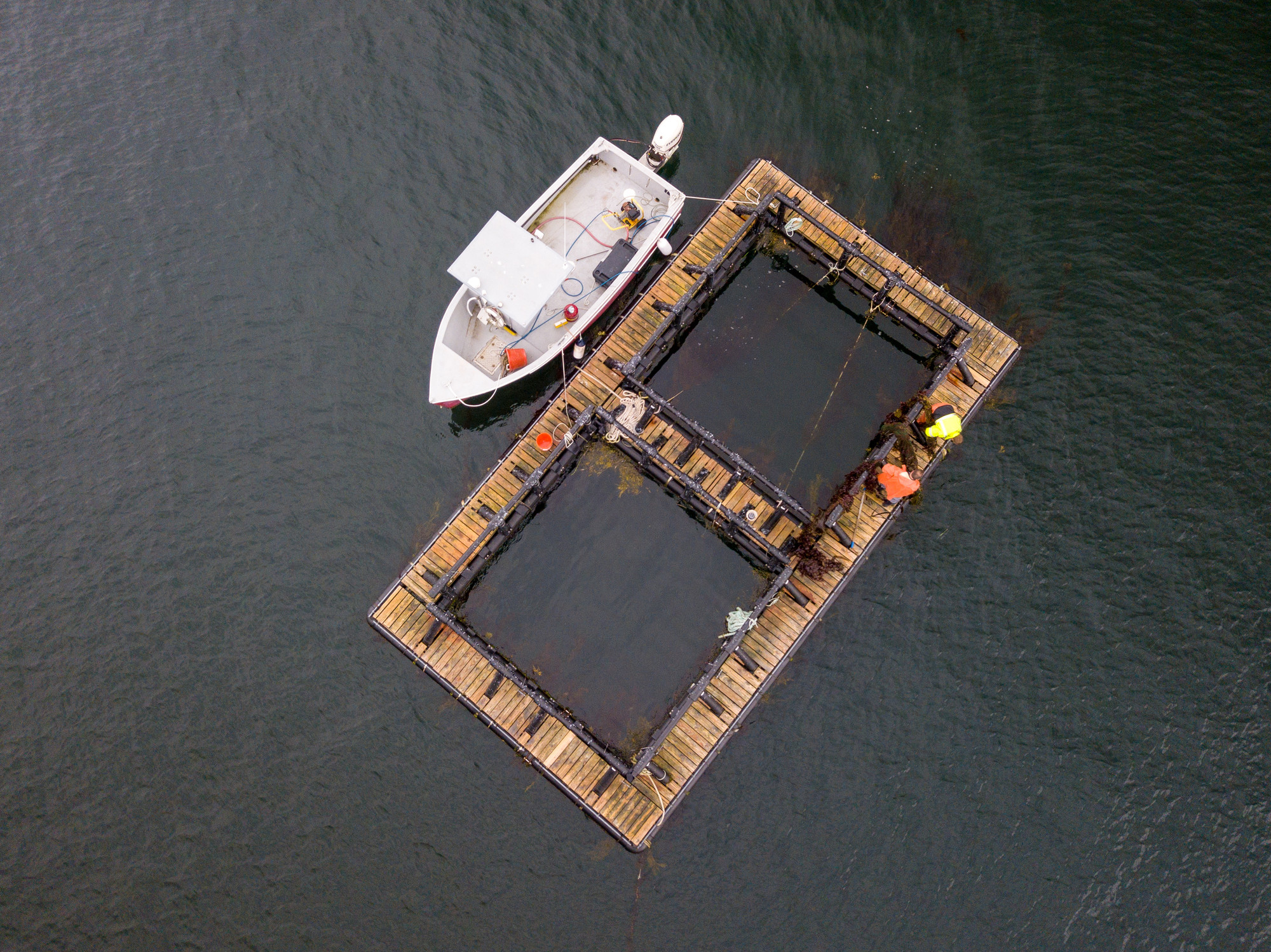 Granite Geek: UNH is an ocean fisheries leader, even if we don't have much access to the ocean
