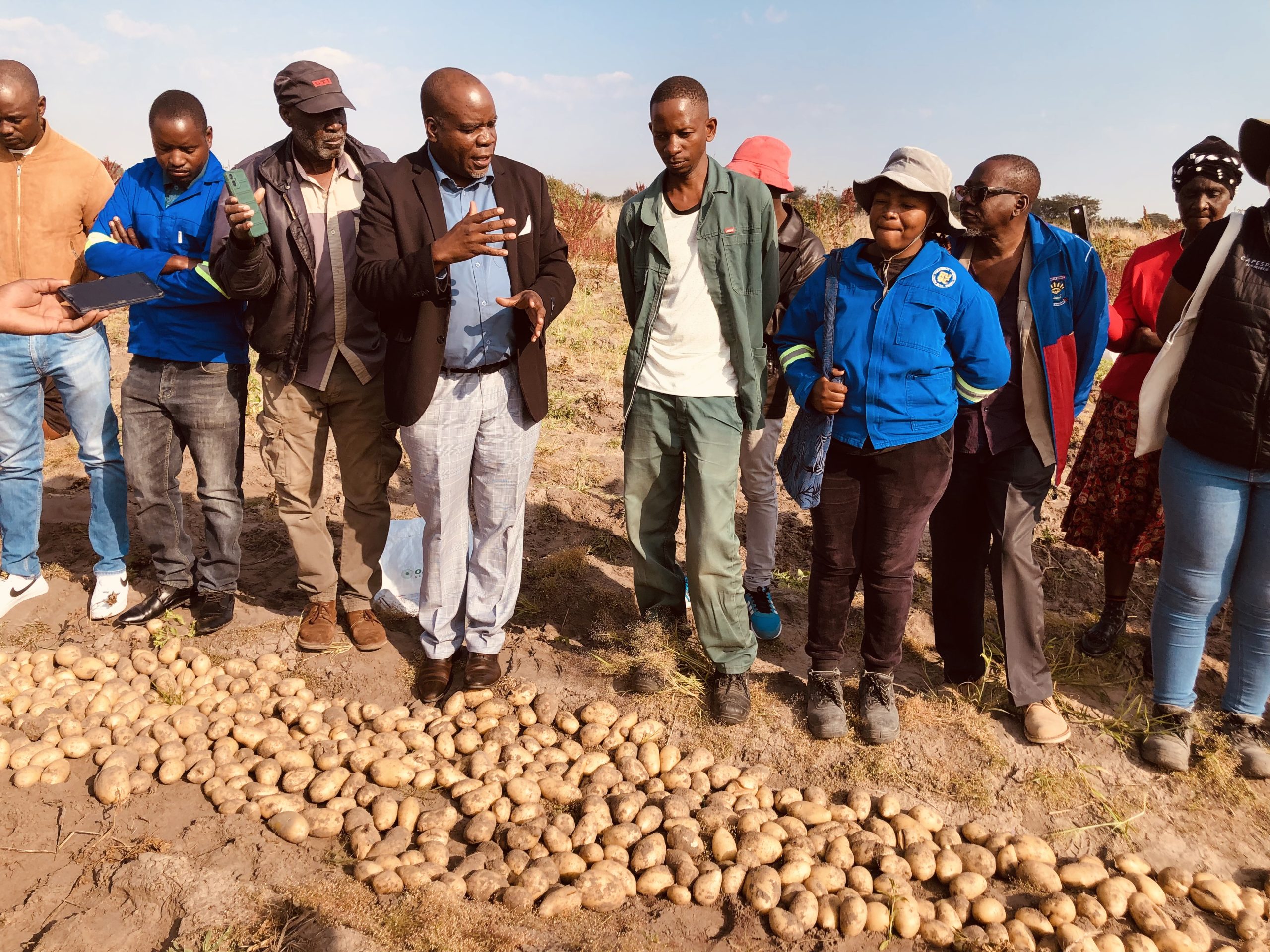 Halapembe records first potato harvest ...strives for food security