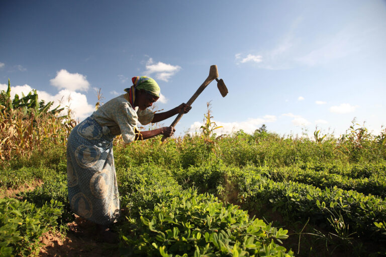 How one woman’s farm is a model for small-scale farmers in Malawi