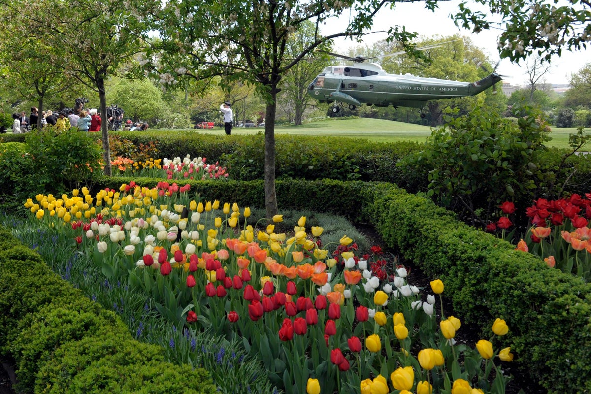 How the White House Rose Garden and its plantings have changed over the past century