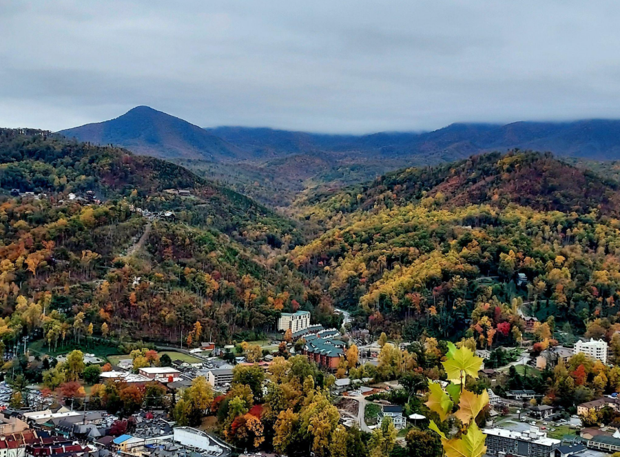How to Plan a Stress-Free Destination Wedding in the Smoky Mountains