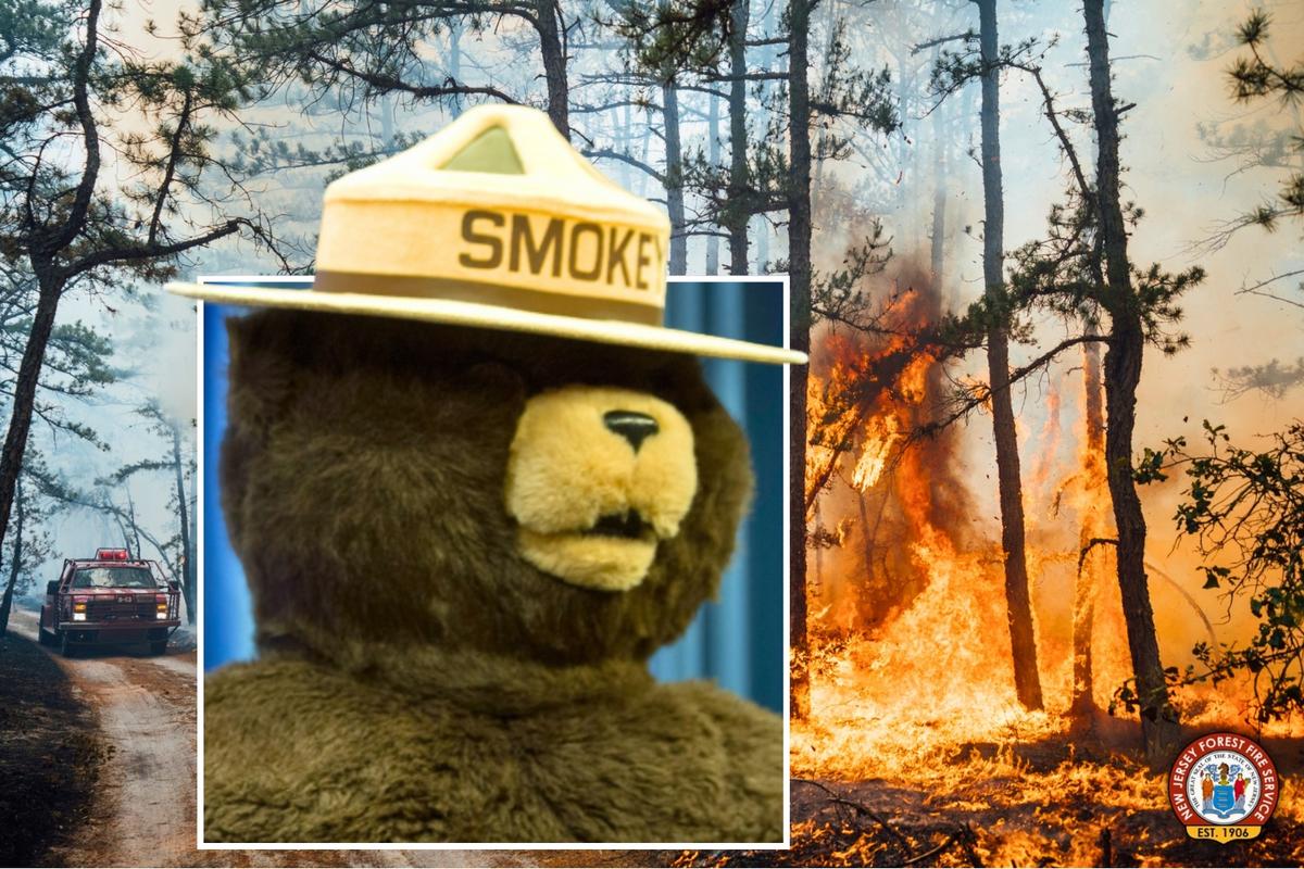 Humans started 99.6% of NJ wildfires and made one dire mistake