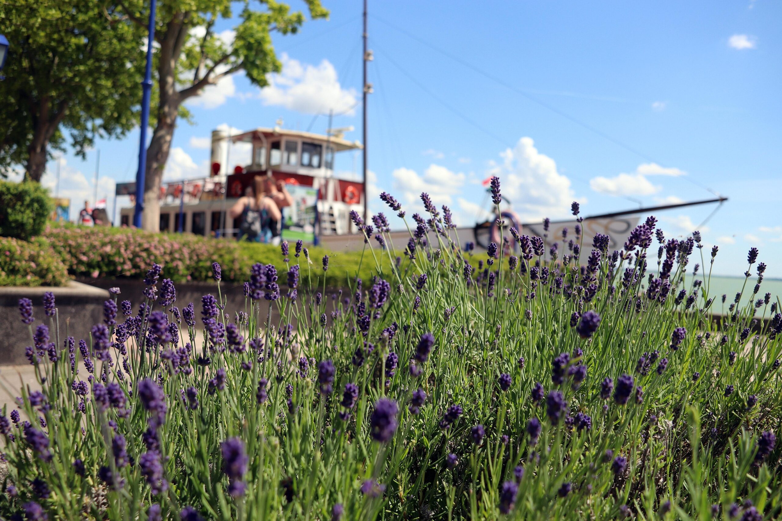Hungary Offers Austrians the Best Vacation Value Close to Home