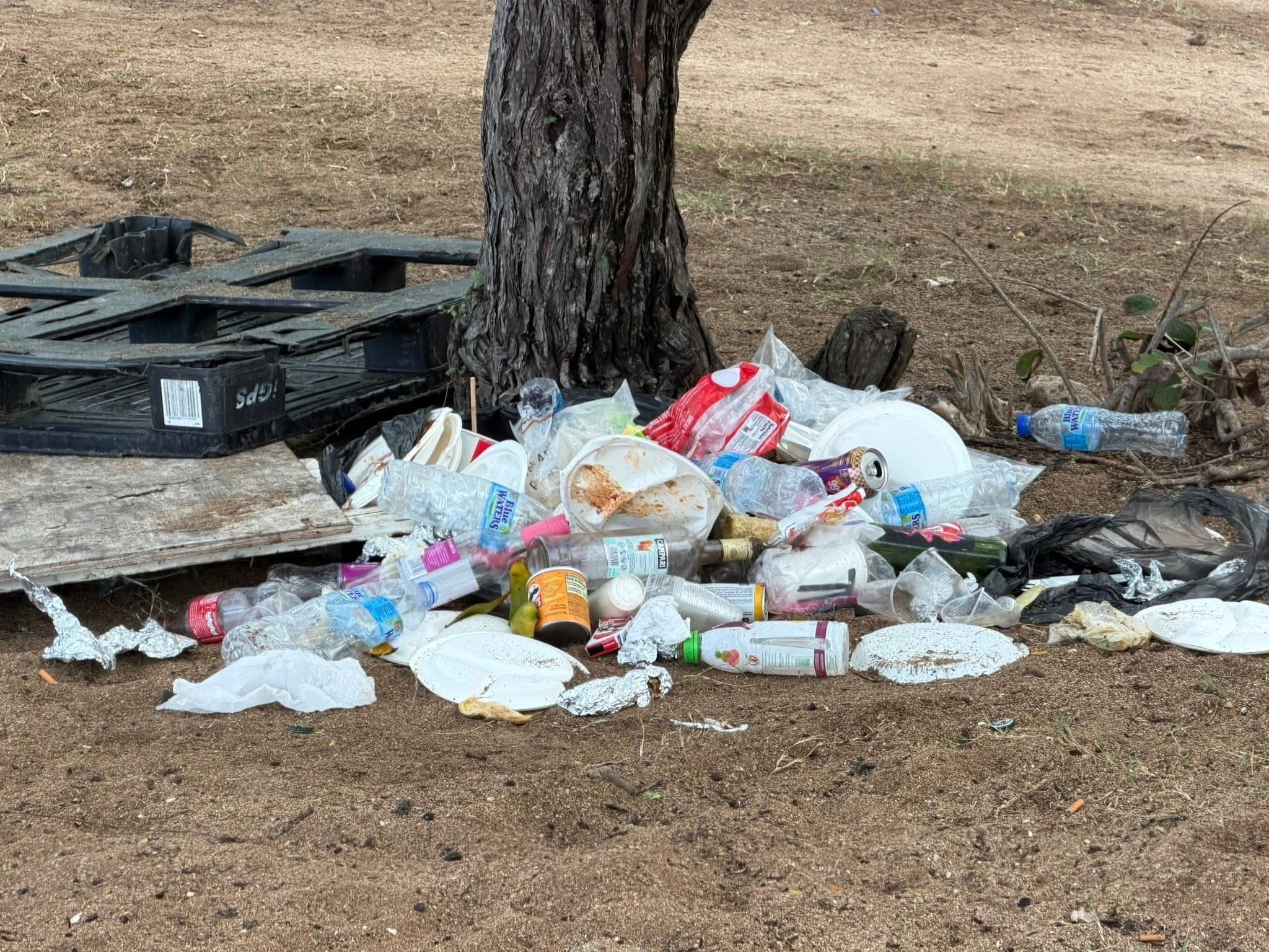 Illegal dumping of waste becoming a ‘big’ issue