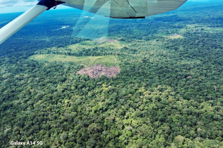 In Peru and Brazil, extractivism threatens Indigenous people in isolation: Report