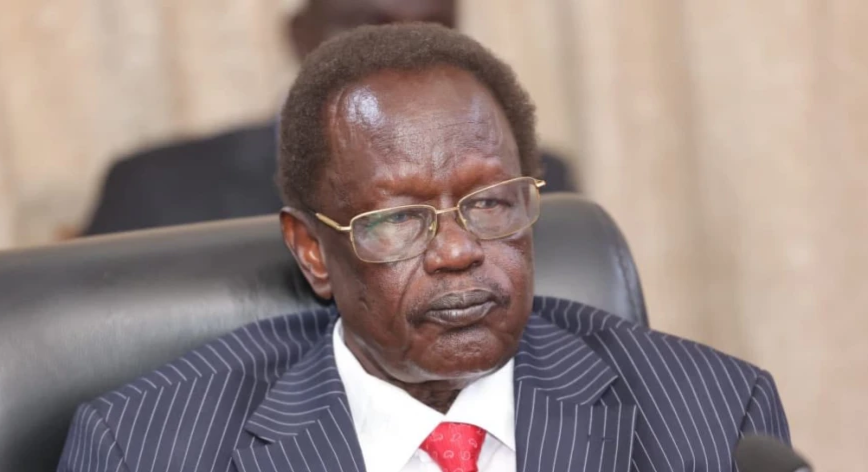 Interior Minister tells IGAD of plans, seriousness to hold elections