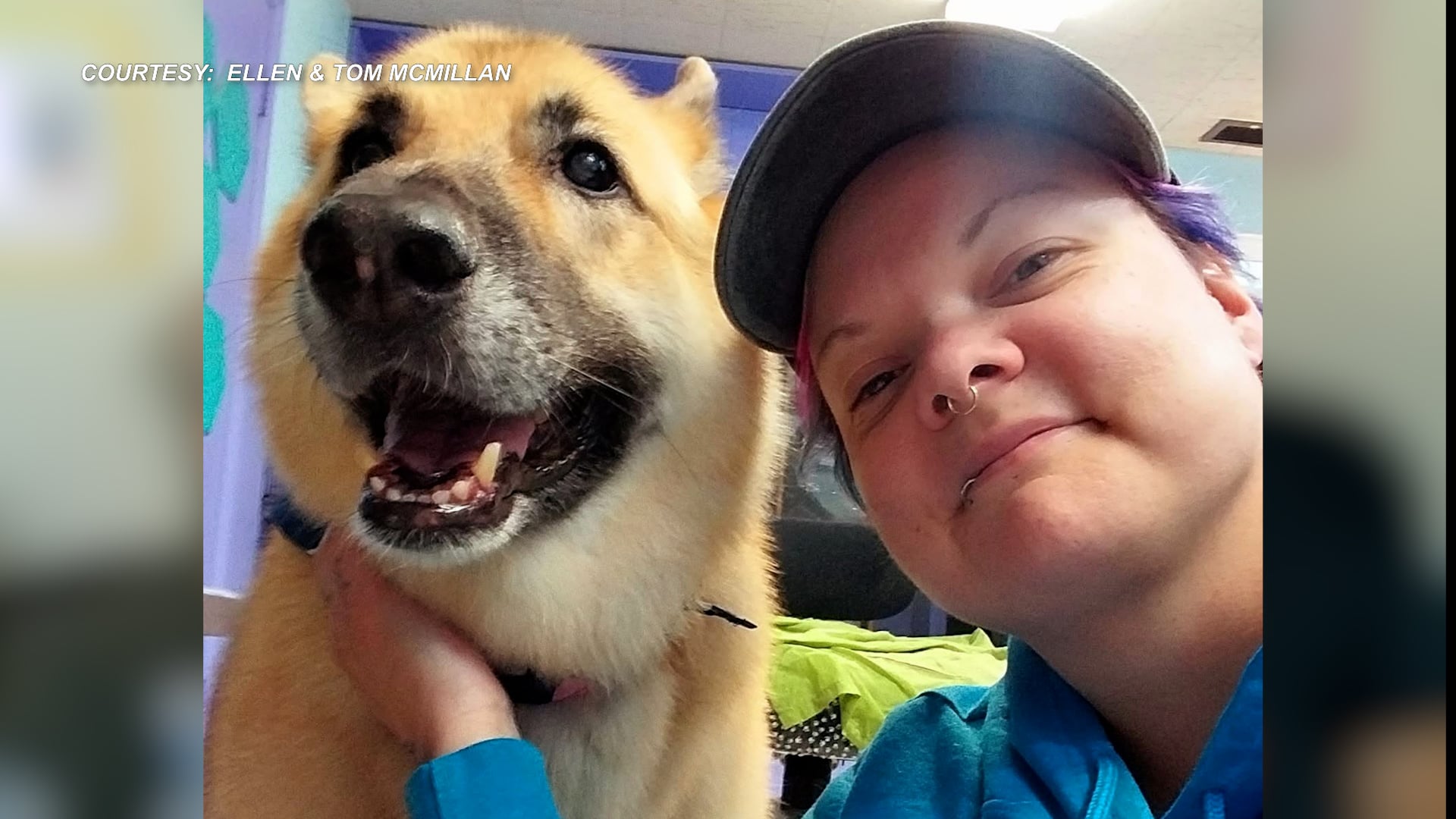 'It just blew us away,' Hundreds remember beloved dog groomer's impact on Lincoln