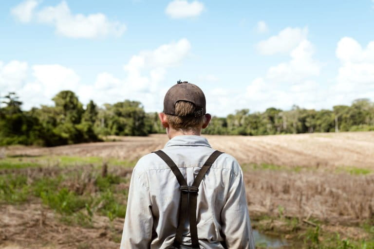 It’s time to engage Mennonite communities in reducing deforestation across Latin America (analysis)