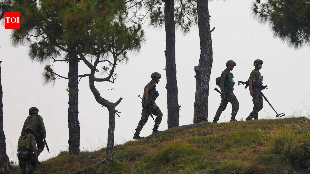 J&K: Pak intruder caught along LoC; third incident this month | India News