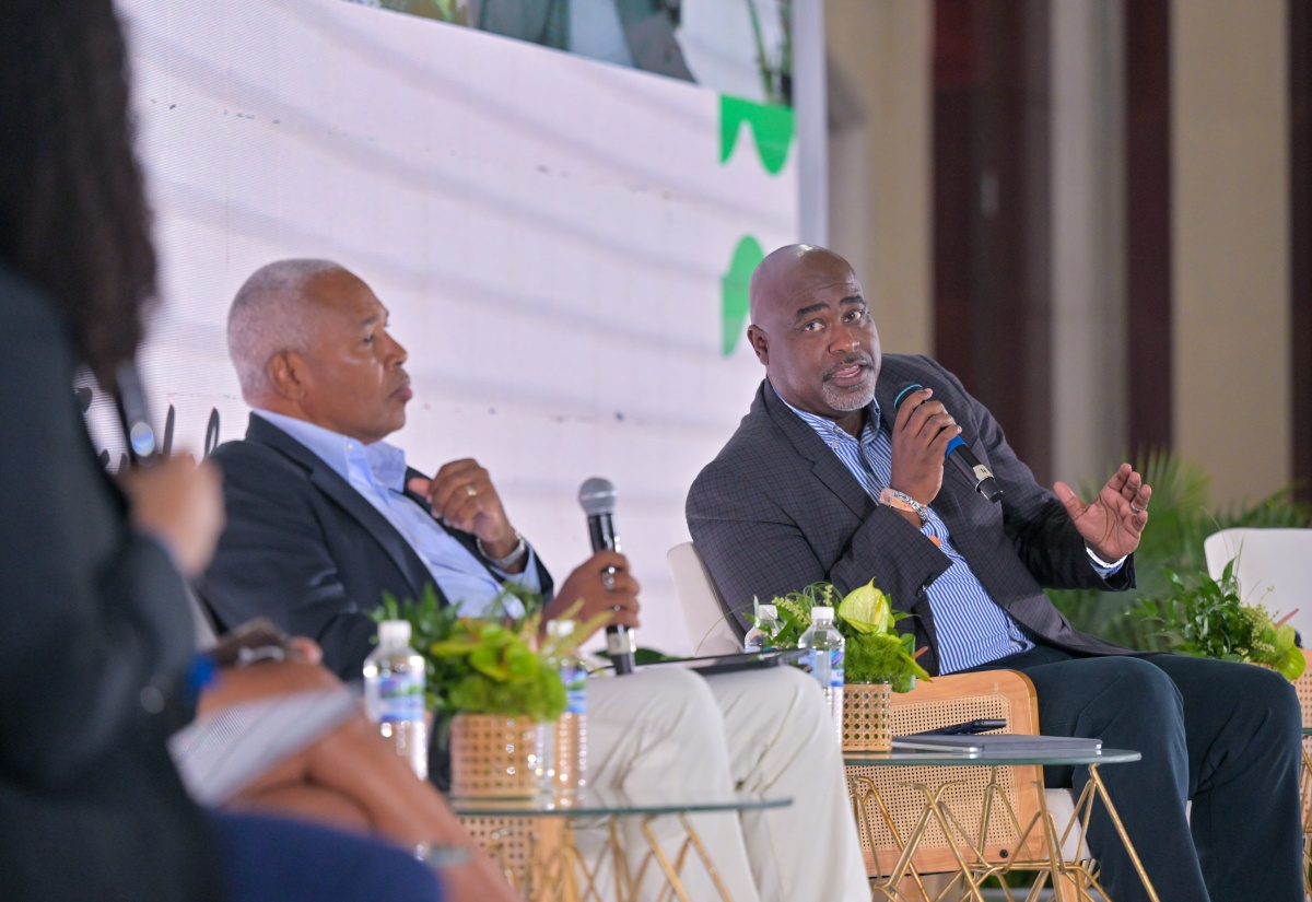 Jamaica's digital push to benefit Jamaicans overseas