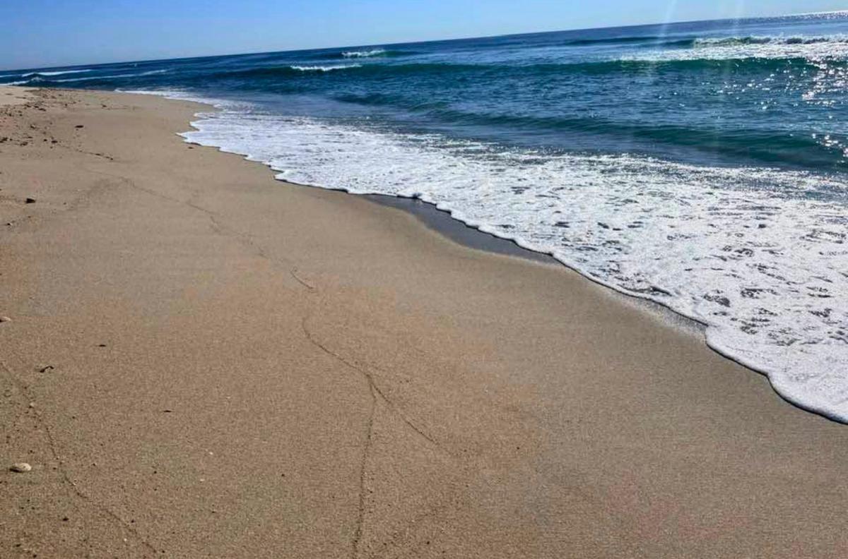 Jersey Shore Report for June 11, 2026