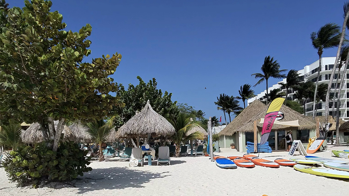 jetblue flights to aruba