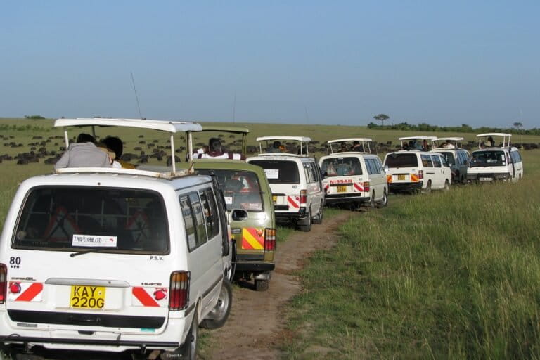 Kenya’s overcrowded safaris: Wildlife for who?