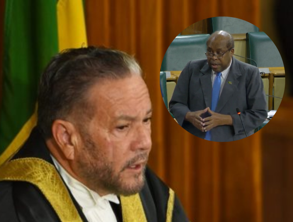 Lambert Brown, Senate President clash over controversial TCN deal