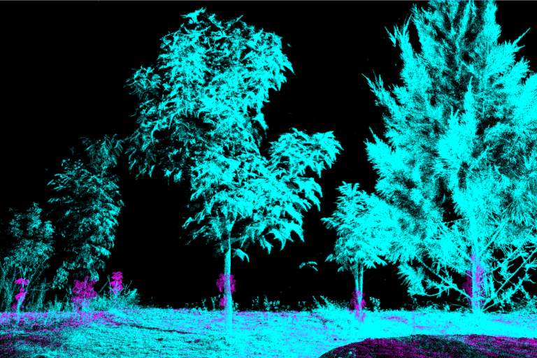 Laser scanning forests may boost carbon estimates, but credibility questions linger