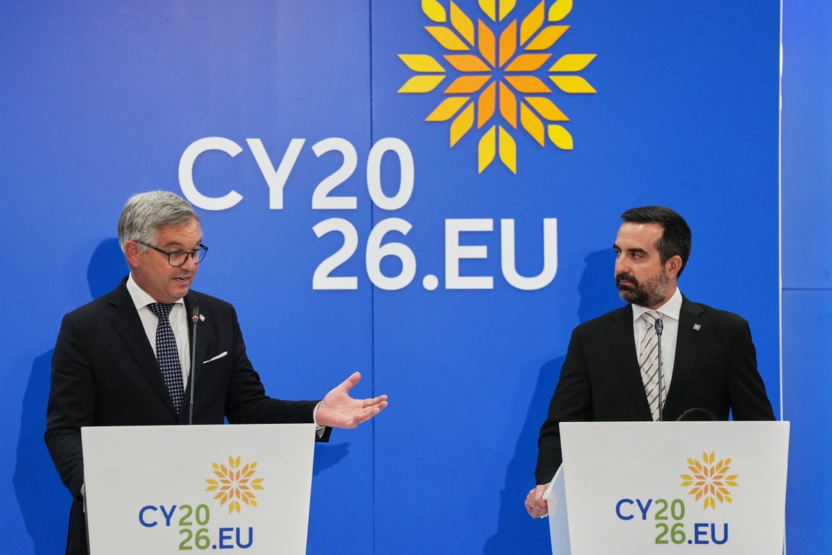 Migrant rights will be safeguarded at third-country return hubs, EU migration commissioner says