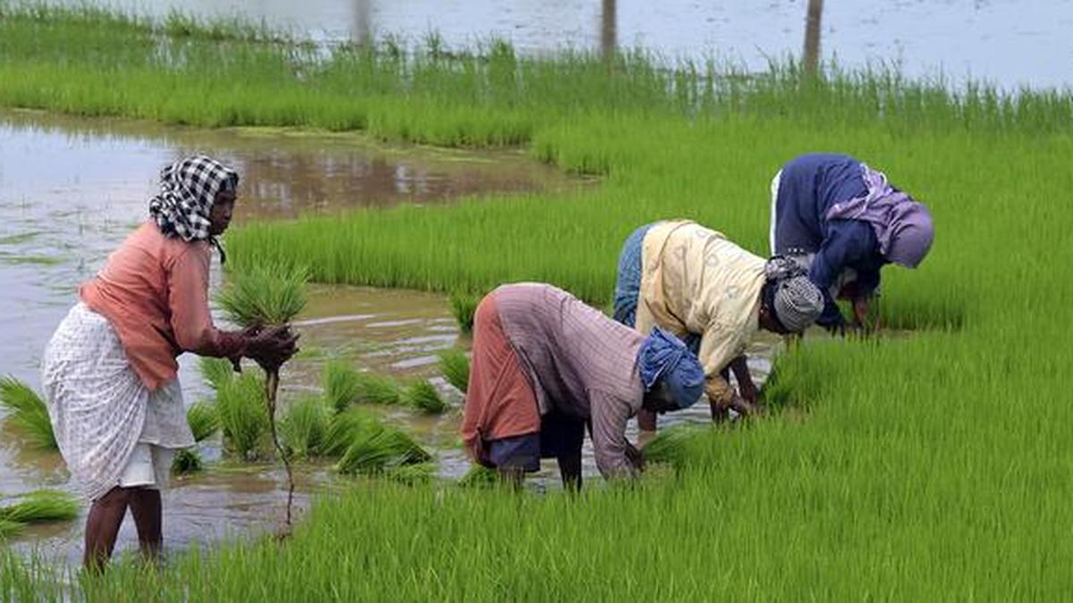 Monsoon deficit and India’s agricultural vulnerability during kharif season