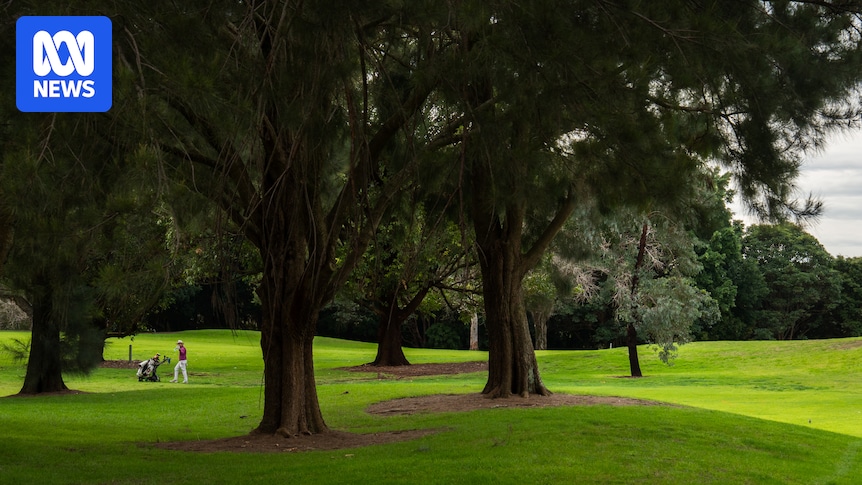 Moore Park Golf Course carve up makes way for new green space in inner Sydney