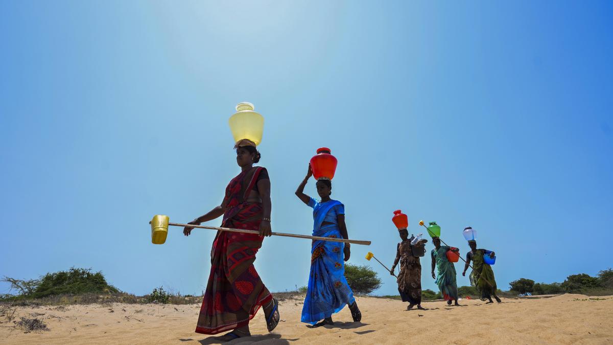 News in Frames | Trickle of freshwater just off the salty sea