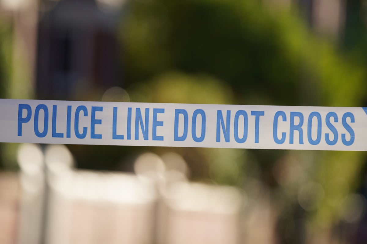 Norwegian teen ‘recruited by Iran-backed Swedish gang to carry out murder ‘hit’ in UK’, court told
