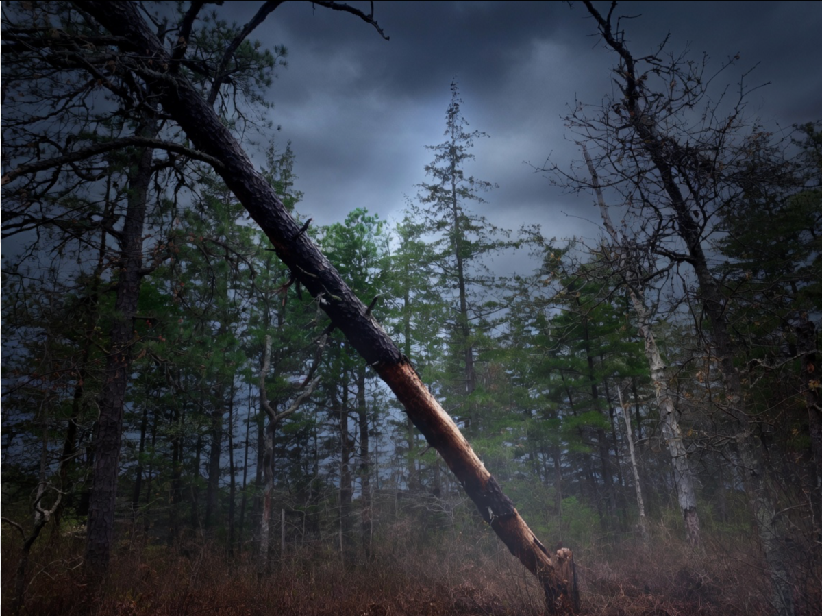 Ongs Hat New Jersey Pine Barrens ghost town history conspiracy