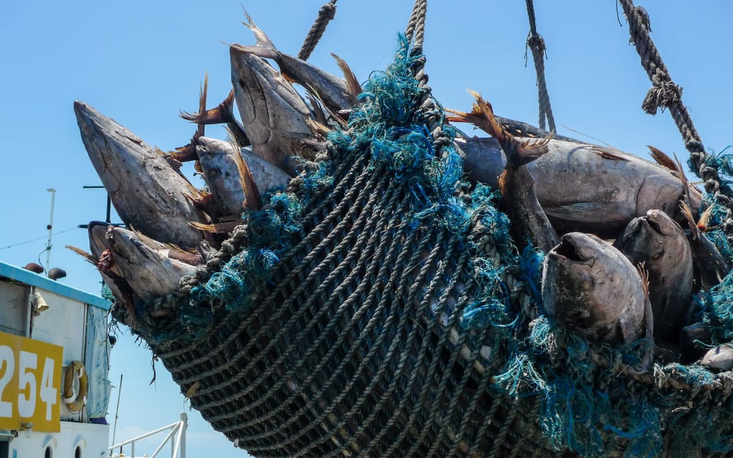 Pacific nations strengthen climate response as tuna stocks shift beyond their waters
