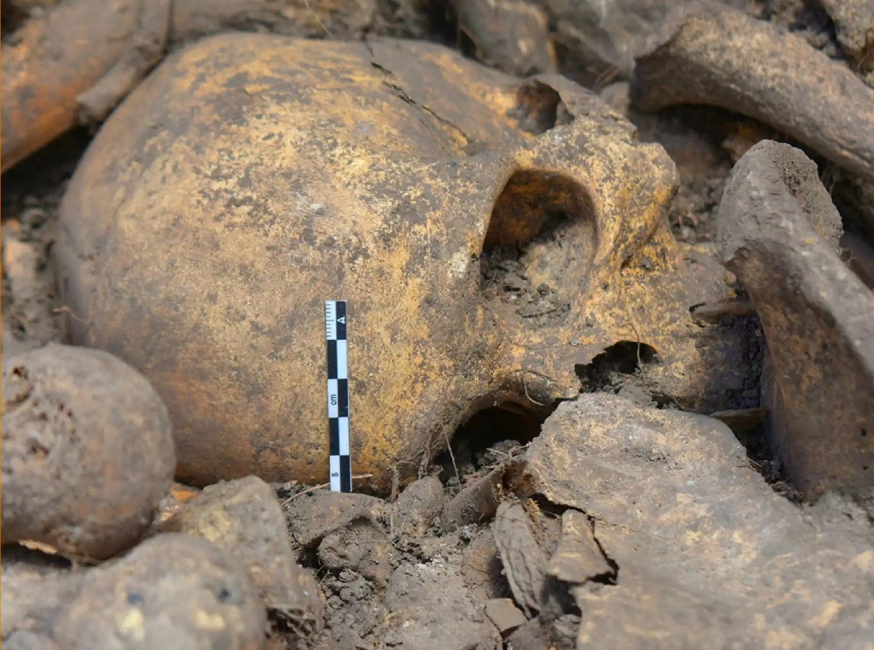 Peru: Discovery of skeletal remains at Kuelap reveals complex Chachapoya funerary practice | Noticias