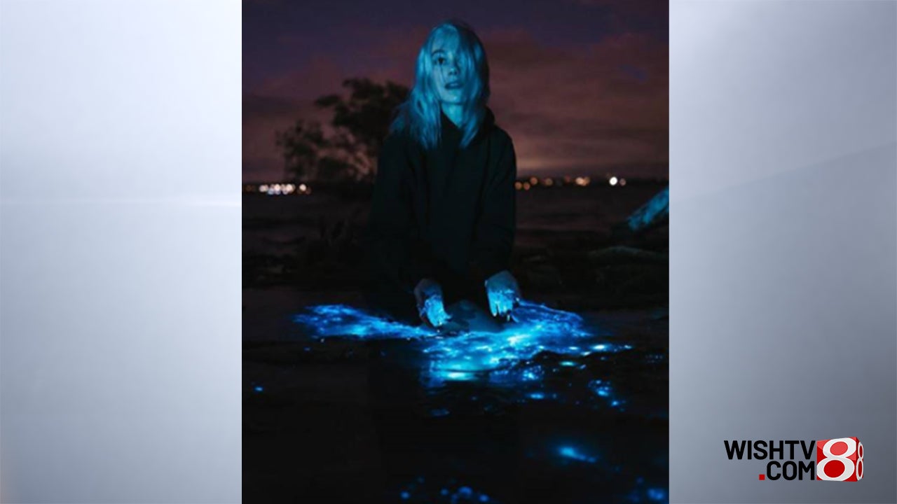 Phoebe Bridgers reveals details of world tour, including Indianapolis stop - Indianapolis News | Indiana Weather | Indiana Traffic