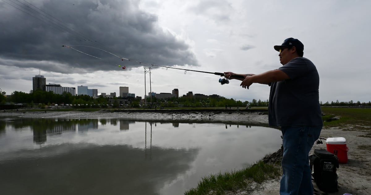 Photos: King salmon are starting to show up at Anchorage’s Ship Creek