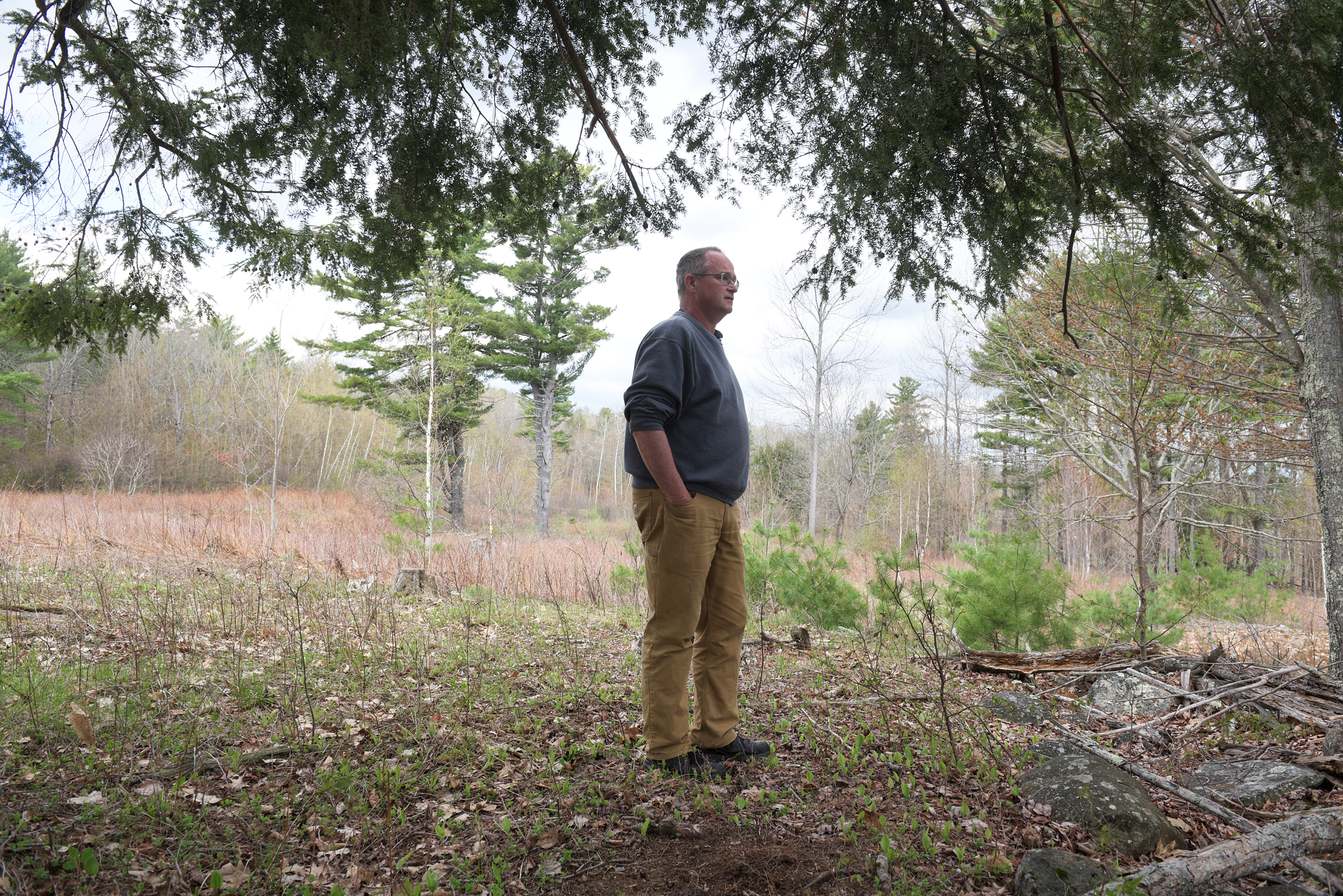 Plainfield Zoning Board suggests alternatives for cell tower
