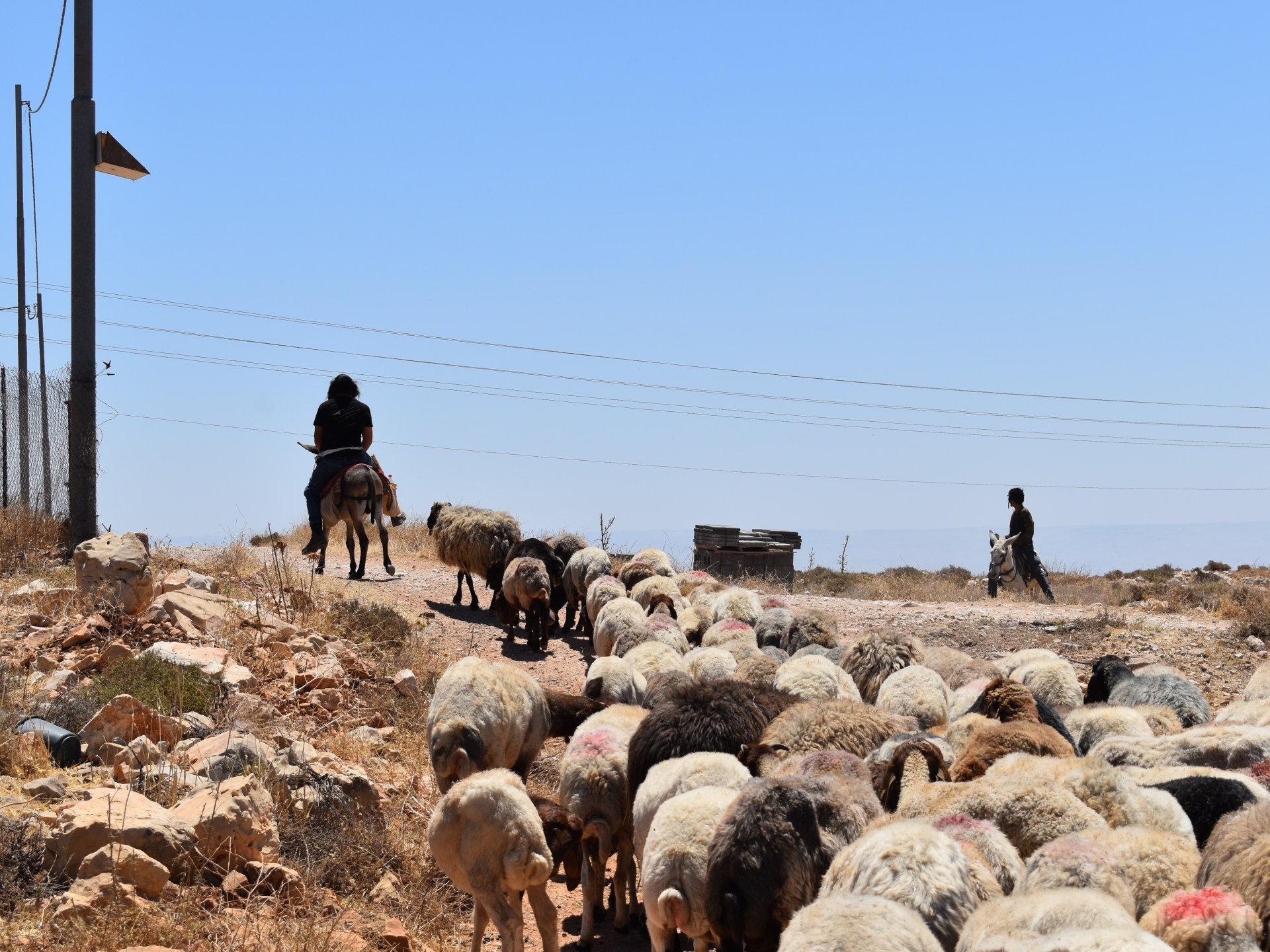 Property deeds no protection for Palestinians as settler violence spreads | Israel-Palestine conflict News