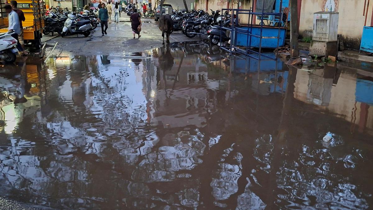 Rainy respite: Showers bless parts of Mysuru after dry spell