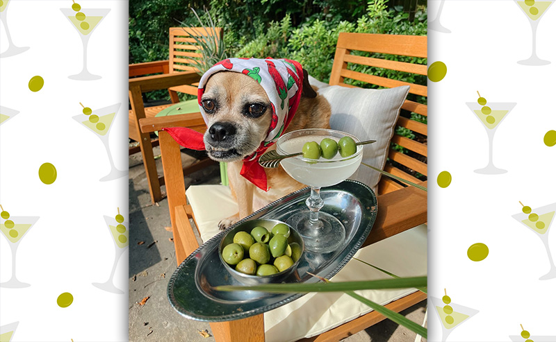 Ready to Have a ‘Tini’ Bit of Fun on National Martini Day?