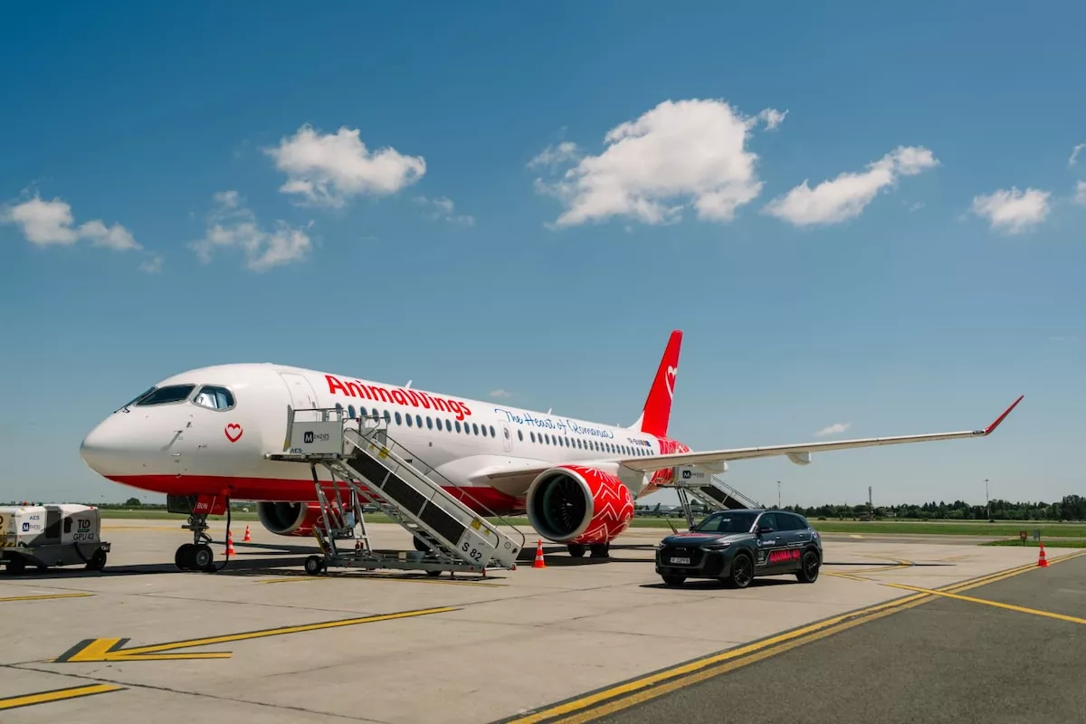Regional airports gain momentum as airlines expand beyond the Capital