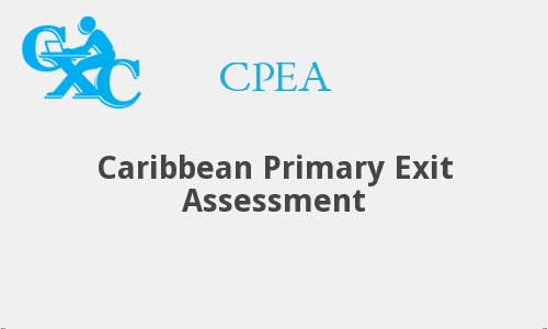Richland Park SDA leads pack in outstanding CPEA results