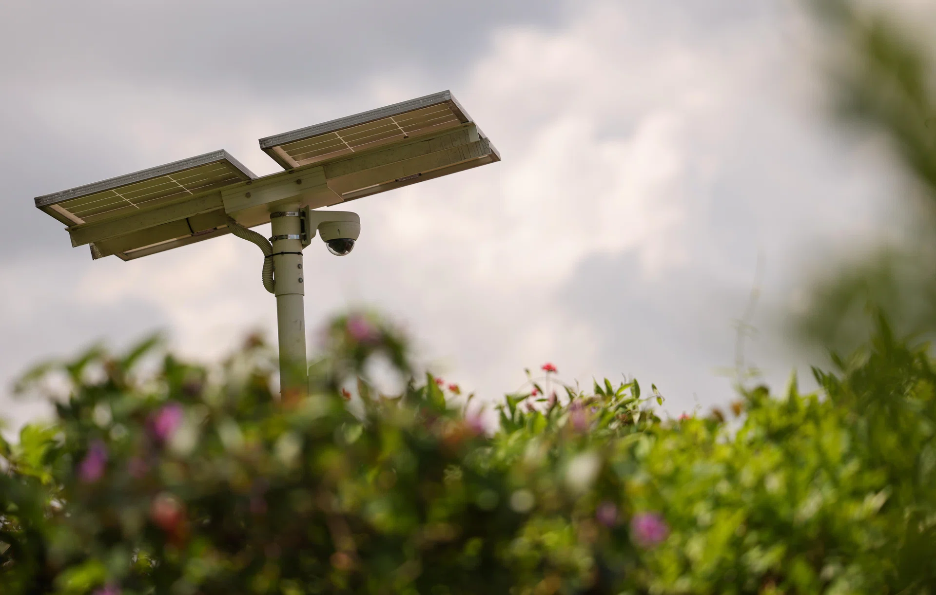 SME sustainability: The path to business resilience